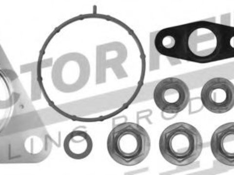 Set montaj, turbocompresor FORD TRANSIT platou / sasiu (2006 - 2016) VICTOR REINZ 04-10165-01