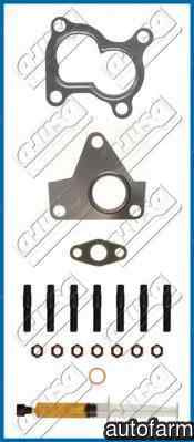 Set montaj turbocompresor RENAULT KANGOO KC0/1 Pro