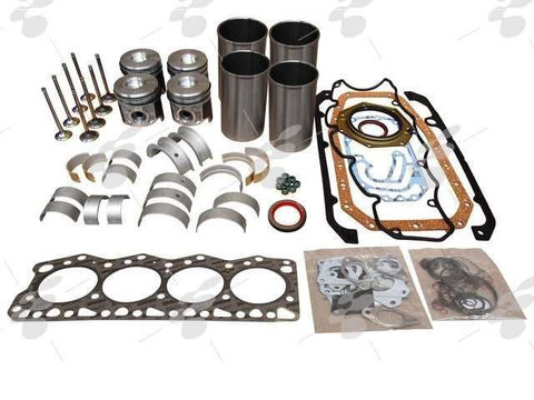 Set motor iveco daily 8140.61 fiat ducato 2.4 2.5