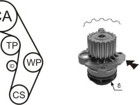 Set pompa apa + curea dintata AUDI A4 (8E2, B6) (2000 - 2004) AIRTEX WPK-199801