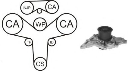 Set pompa apa + curea dintata AUDI A8 (4D2, 4D8) (