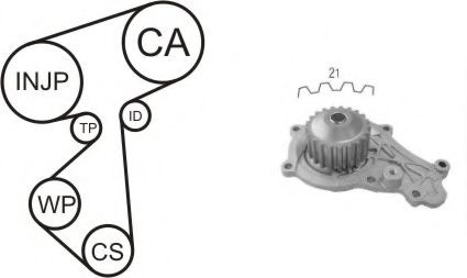 Set pompa apa + curea dintata PEUGEOT 307 (3A/C) (