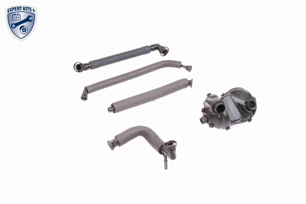 Set reparatie, aerisire baie ulei VAICO V20-1872