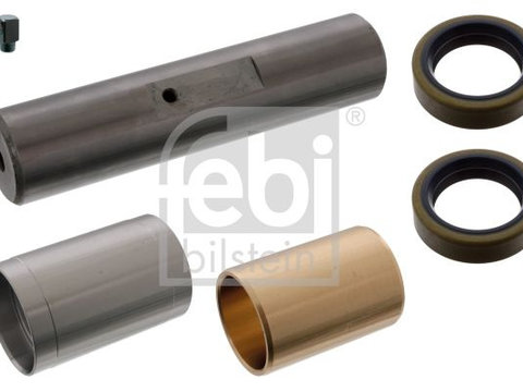 Set reparatie bolt arc 47606 FEBI BILSTEIN pentru Volvo V90 Nissan Murano Skoda Praktik Skoda Roomster Bmw Seria 5