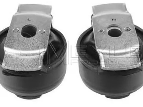 Set reparatie corp ax RENAULT LAGUNA II BG0 1 MEYLE 16146100019 PieseDeTop