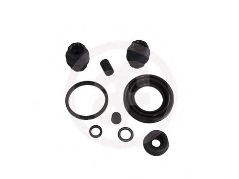 Set reparatie, etrier MINI MINI Cabriolet (R57) (2007 - 2020) AUTOFREN SEINSA D4589