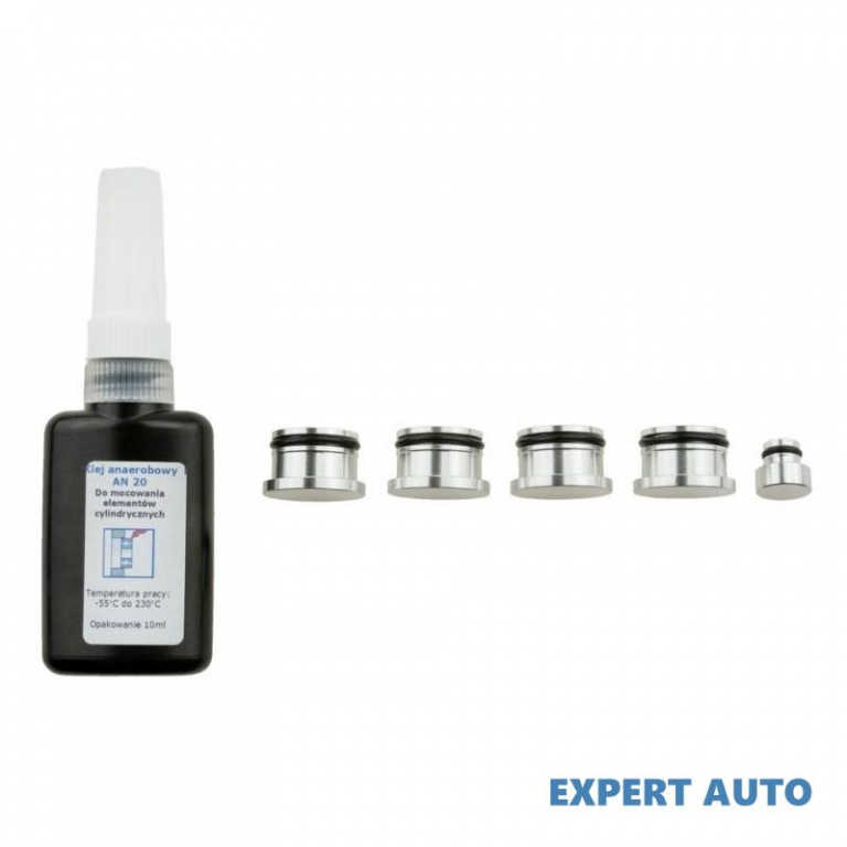 Set reparatie galerie admisie Saab 9-3 (YS3F) 2002-2016 #1 55210201