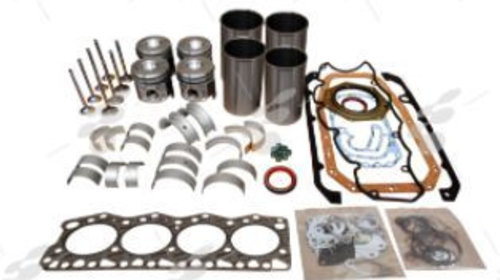Set reparatie motor Iveco F1CE0481F F1CE