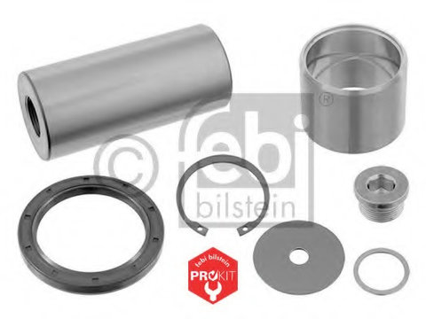 Set reparatie pivot 05869 FEBI BILSTEIN pentru Vw Golf Vw Rabbit Vw Eurovan Vw Kombi Vw Transporter Skoda Felicia Volvo S80 Skoda Favorit Vw Beetle Vw Novo Vw Derby Vw Flight Vw Polo Bmw Seria 3 Vw Bora Vw Jetta Mercedes-benz Lkln2 Mercedes-benz Ng M