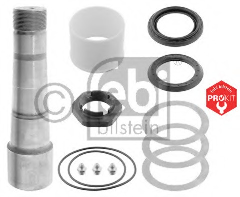 Set reparatie pivot 28585 FEBI BILSTEIN pentru Vw Polo Vw Golf Bmw Seria 5 Volvo 740 Nissan Primera Bmw Seria 3 Skoda Octavia Volvo Fh Volvo Fm Volvo Fl