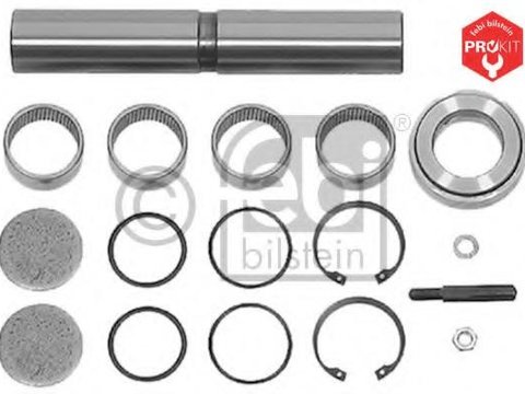 Set reparatie, pivot MERCEDES-BENZ ACTROS, MERCEDES-BENZ ATEGO, MERCEDES-BENZ LK/LN2 - FEBI BILSTEIN 08802