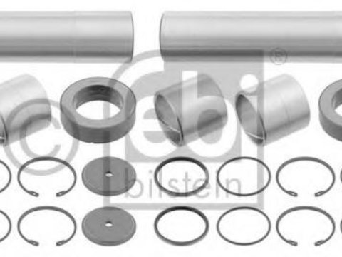 Set reparatie, pivot MERCEDES-BENZ O 303, MERCEDES-BENZ O 305, MERCEDES-BENZ O 307 - FEBI BILSTEIN 06010