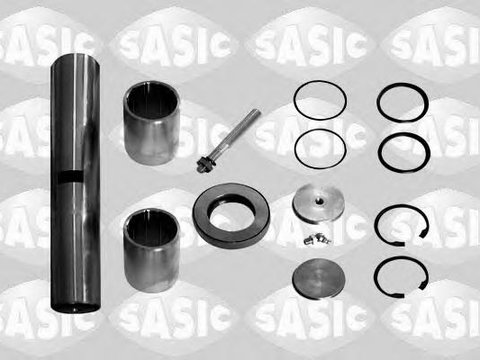 Set reparatie, pivot - SASIC T791001