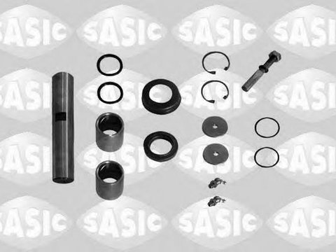 Set reparatie, pivot - SASIC T791002