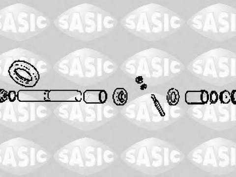 Set reparatie, pivot - SASIC T791015