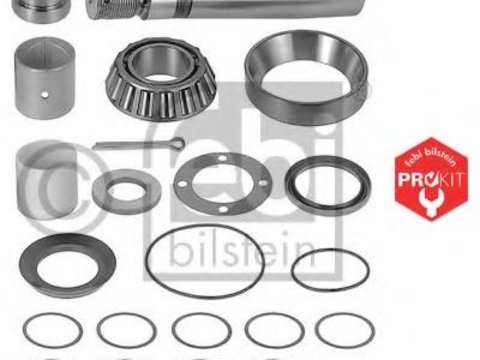 Set reparatie, pivot VOLVO FL 6, VOLVO FL 10, VOLVO FL 7 - FEBI BILSTEIN 08651