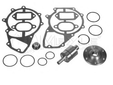 Set reparatie, pompa apa MAN F 2000, MAN F 90 - MEYLE 12-33 599 6033