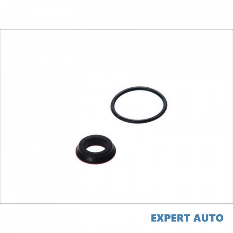 Set reparatie, pompa centrala ambreiaj Fiat ULYSSE (179AX) 2002-2011 #8 1487399080