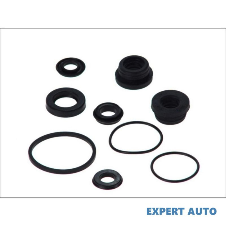 Set reparatie, pompa centrala frana Renault MEGANE