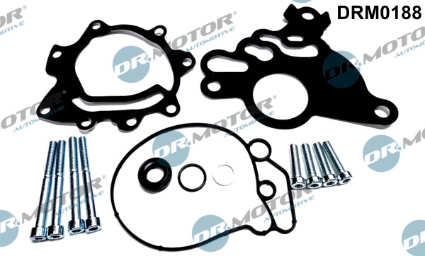 Set reparatie, pompa vacuum (Siste frana) (DRM0188 DRM) AUDI,FORD,SEAT,SKODA,VW