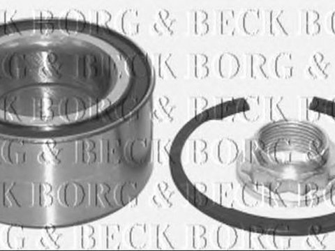 Set rulment roata BMW 3 E46 BORG & BECK BWK481