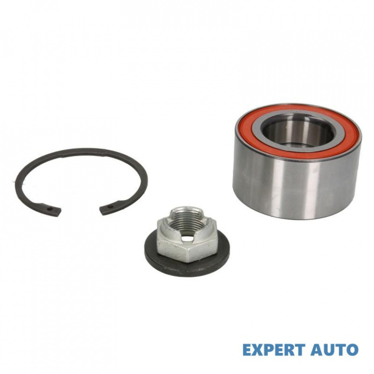 Set rulment roata Ford TRANSIT CONNECT (P65_, P70_