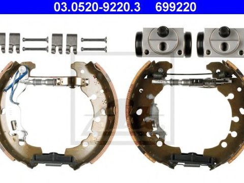 Set saboti frana CITROËN NEMO caroserie (AA_) (2008 - 2016) ATE 03.0520-9220.3