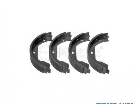 Set saboti frana, frana de mana BMW 5 (E60) 2003-2010 #2 019029