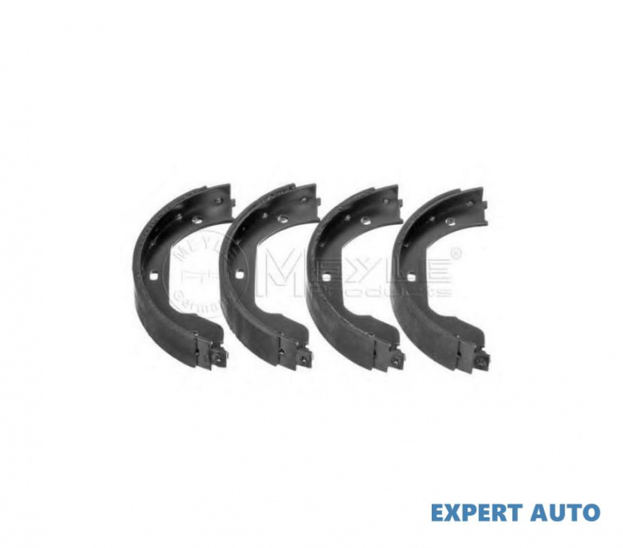 Set saboti frana, frana de mana BMW 5 (E60) 2003-2010 #2 019029