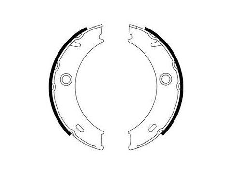 Set saboti frana mana Delphi LS1917, parte montare : Punte Spate