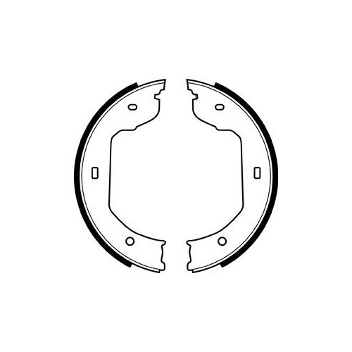 Set saboti frana mana Delphi LS1920, parte montare