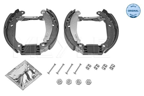 Set saboti frana # puntea spate Renault 9 1981 198