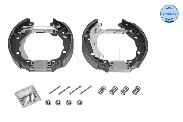 Set saboti frana # puntea spate Renault Logan 2004