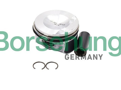 Set segmenti piston B18993 BORSEHUNG