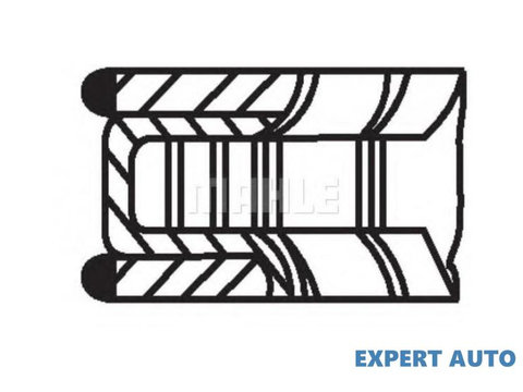 Set segmenti piston BMW 3 Touring (E46) 1999-2005 #2 08310N0