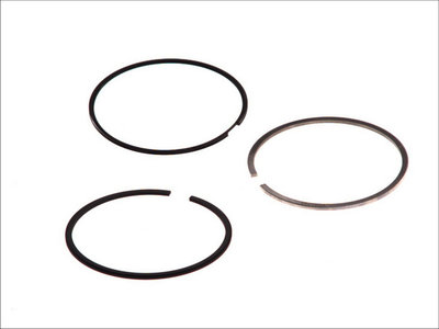 SET SEGMENTI PISTON FIAT MAREA (185_) 1.9 JTD 110 