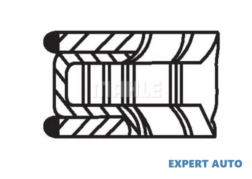 Set segmenti piston Fiat SCUDO caroserie (220L) 19