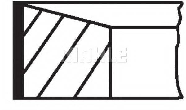 Set segmenti piston RENAULT VEL SATIS (BJ0) (2002 