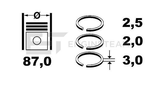 SET SEGMENTI STANDARD PENTRU HYUNDAI SAN