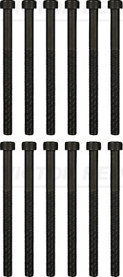 Set surub, chiulasa (143219001 REI) VW