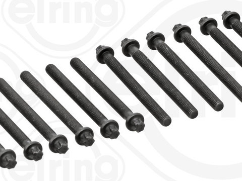 Set surub chiulasa 802 820 ELRING pentru Bmw Seria 3 Bmw Seria 5 Bmw Seria 7 Bmw Z3 Bmw X5 Bmw Z4 Bmw X3