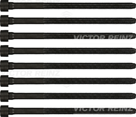 Set surub chiulasa # Audi Q5 2008 2009 2010 2011 2012 2013 2014 2015 2016 2017 2018 2019 2020 2021 2022 2023 2024 2025 # 14 32198 01 # VICTOR REINZ