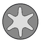 Set surub chiulasa # Opel Omega 1994 1995 1996 1997 1998 1999 2000 # T50220 00 # GLASER
