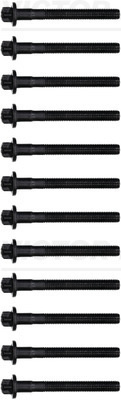 Set surub, chiulasa VICTOR REINZ 14-32109-02