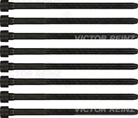 Set surub, chiulasa VICTOR REINZ 14-32198-01
