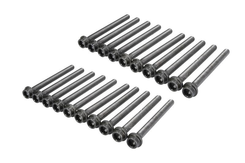 Set surub, chiulasa VW PHAETON (3D) (2002 - 2016) ELRING 332.830 piesa NOUA