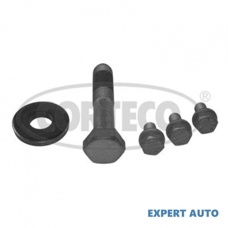 Set surub, disc curea-arbore cotit Citroen C3 I (FC_) 2002-2016 #2 80004882