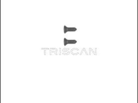 Set surub, disc frana TRISCAN 8105 116008