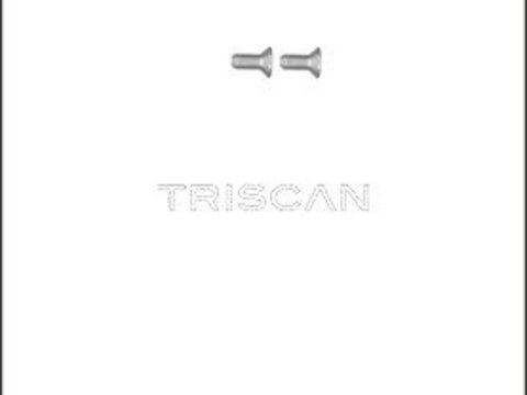 Set surub, disc frana TRISCAN 8105 116012
