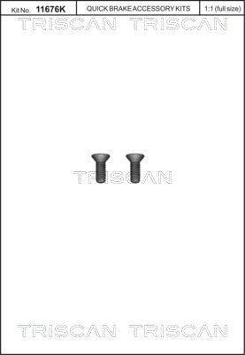 Set surub, disc frana TRISCAN 8105 116017